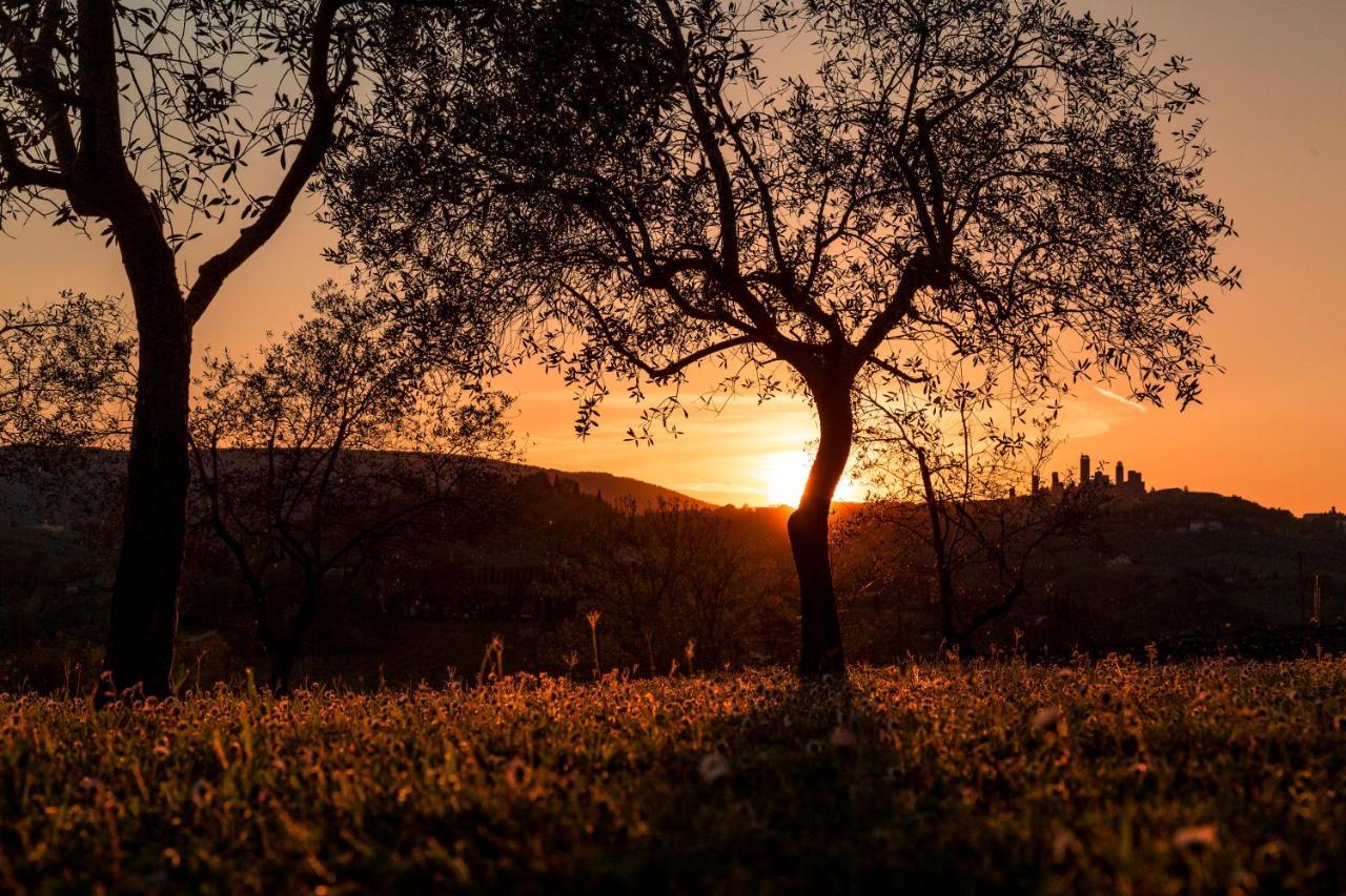 Agriturismo Il Segreto Di Pietrafitta *